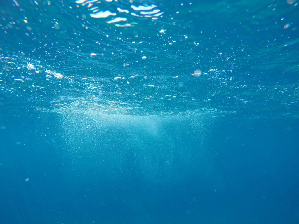Under the sea photo